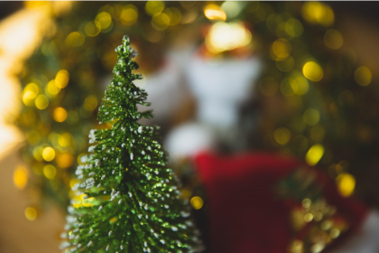 Choosing the Perfect Christmas Tree for Your 12-Foot Ceiling: Creating a Warm Winter Season