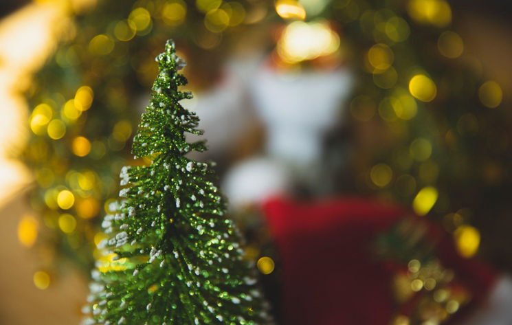 Choosing the Perfect Christmas Tree for Your 12-Foot Ceiling: Creating a Warm Winter Season
