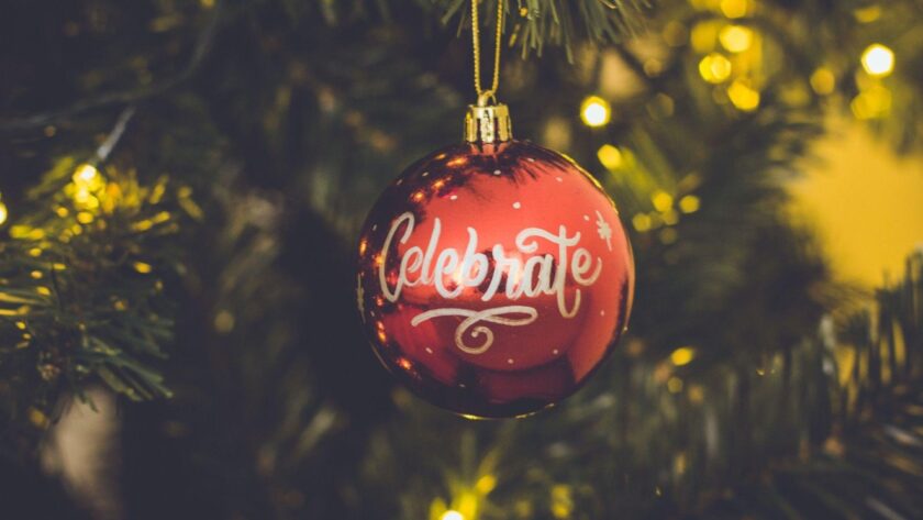 Enchanting Pink Trees: Celebrate Love